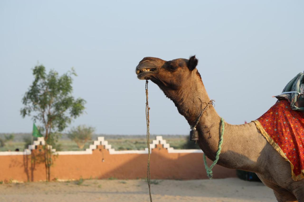 Sunny Desert Camp Kūri エクステリア 写真