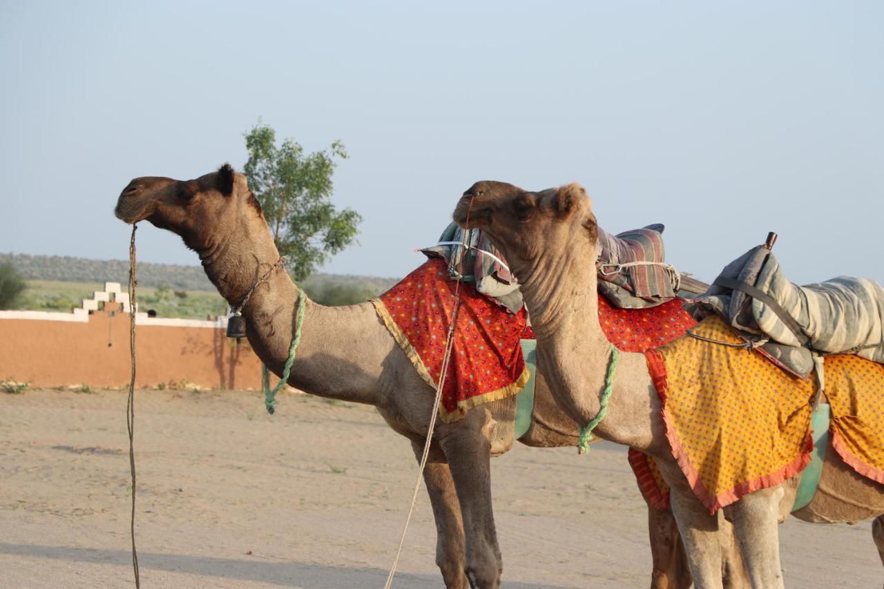 Sunny Desert Camp Kūri エクステリア 写真