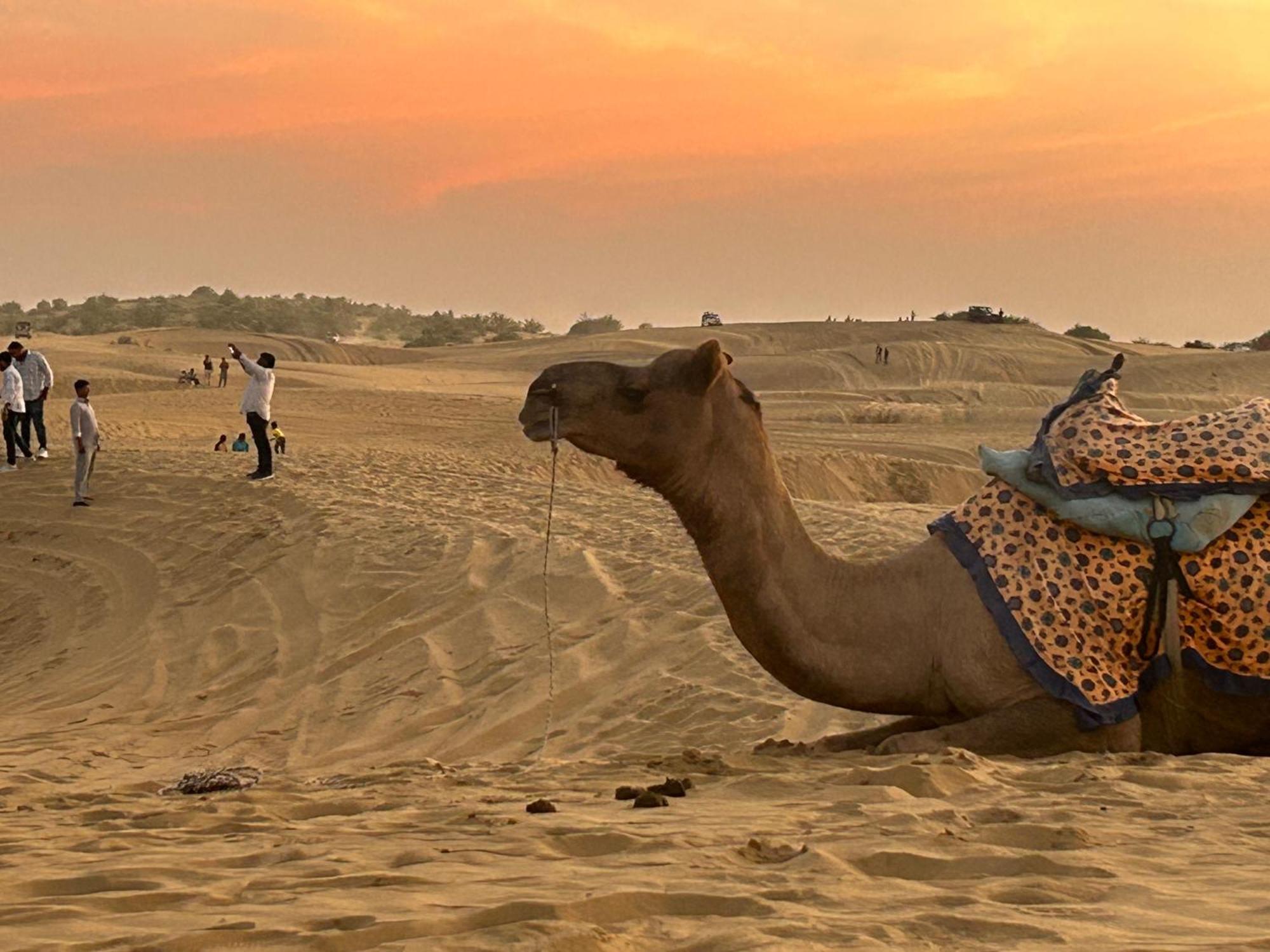 Sunny Desert Camp Kūri エクステリア 写真