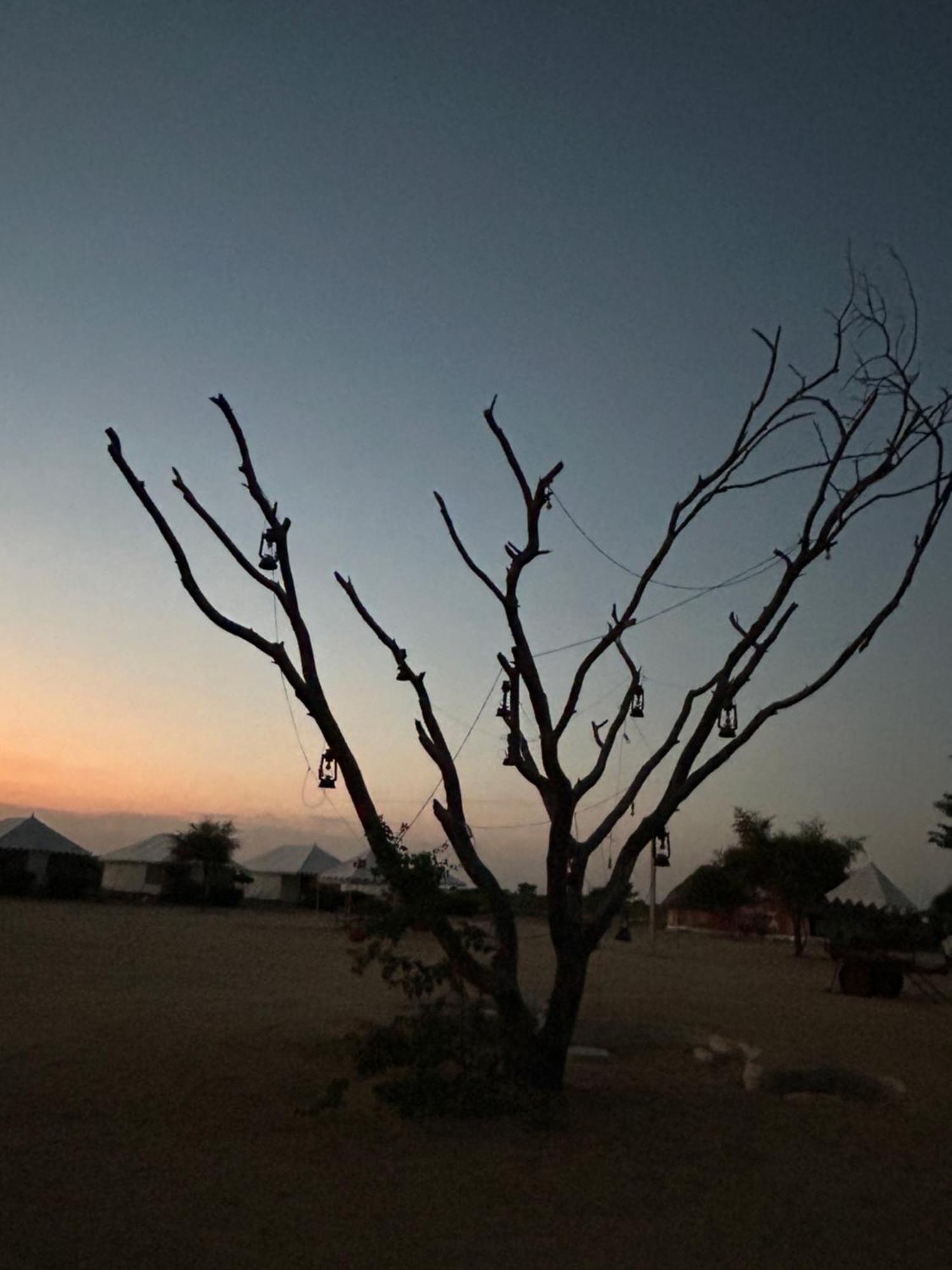 Sunny Desert Camp Kūri エクステリア 写真