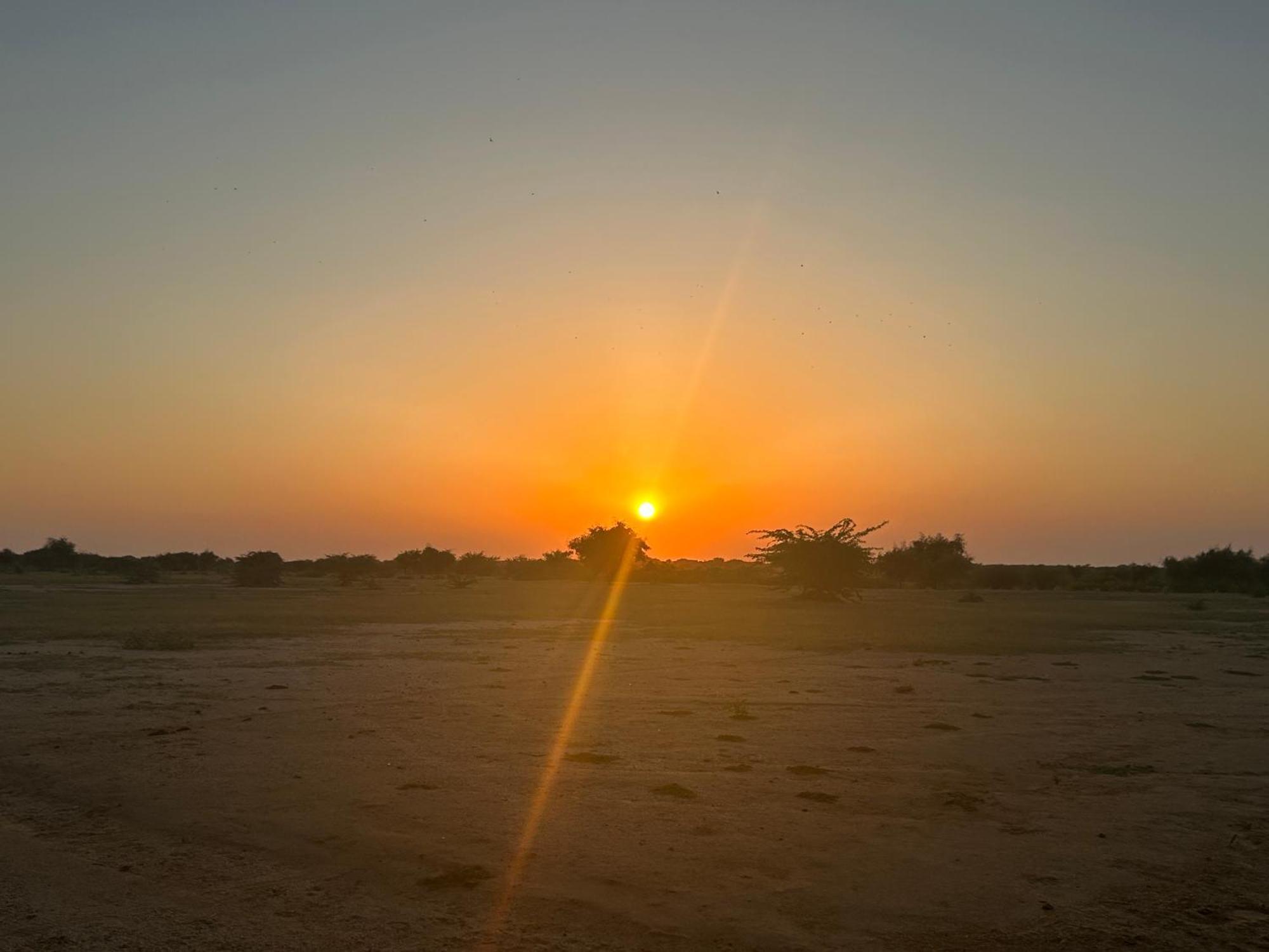 Sunny Desert Camp Kūri エクステリア 写真